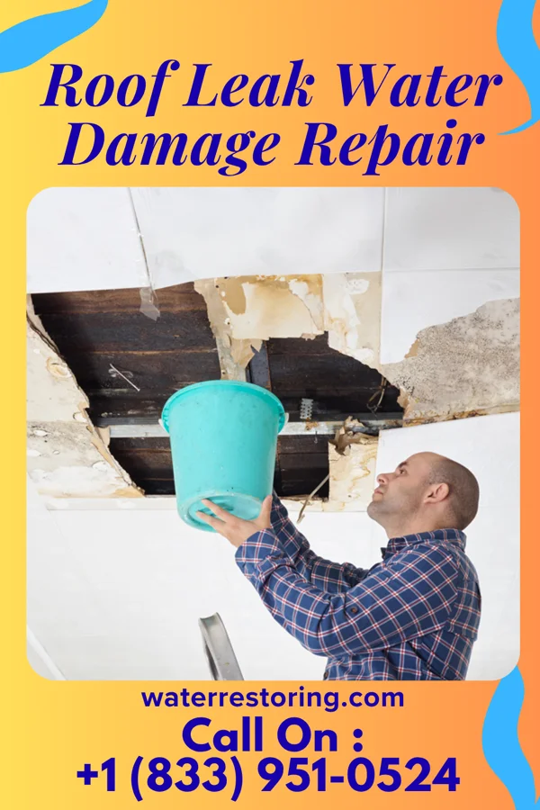 Roof Leak Water Damage Repair in Rowley, IA