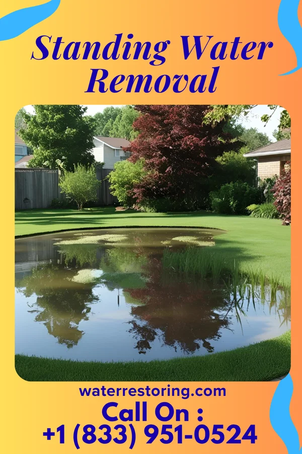 Standing Water Removal in Rowley, IA